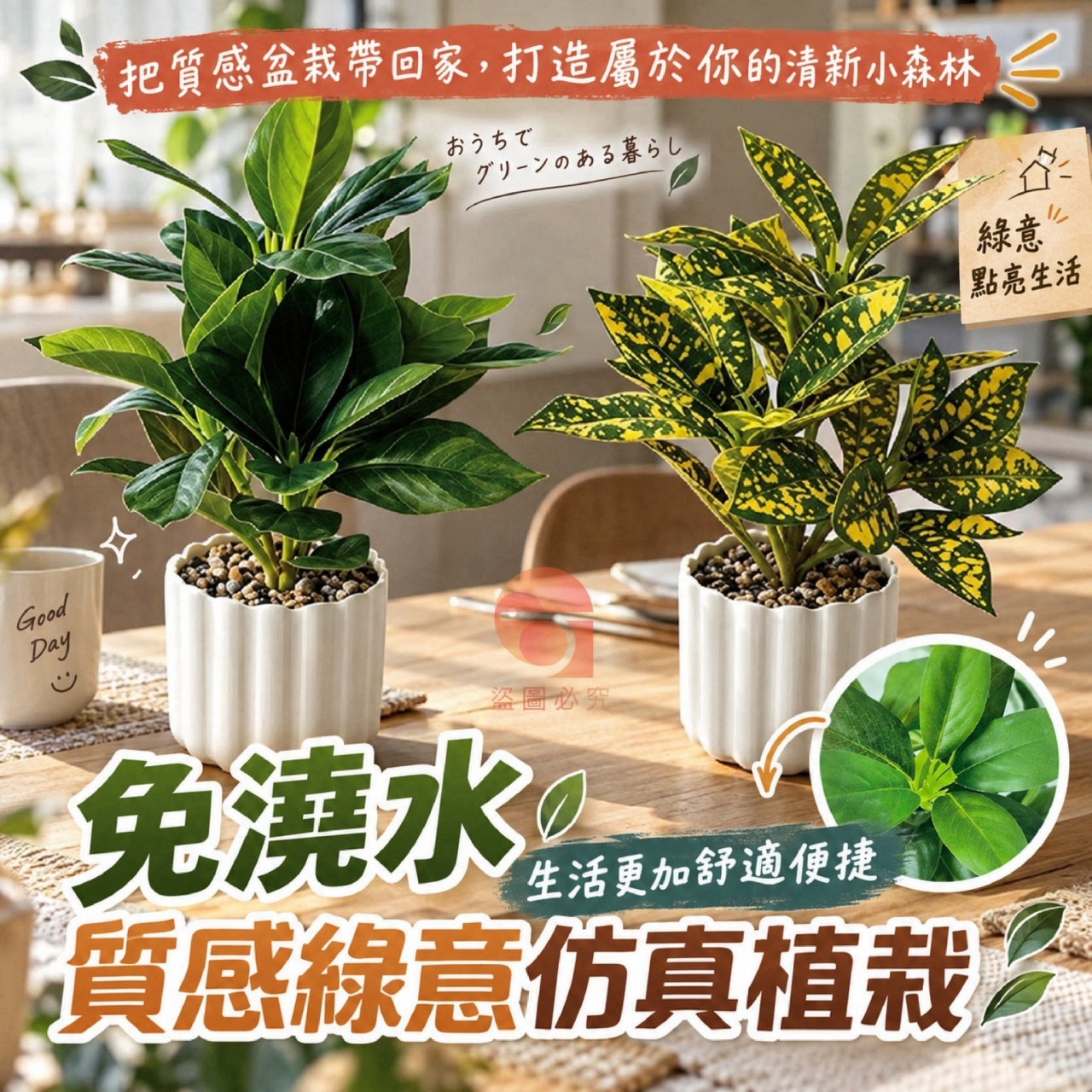 免澆水-質感綠意仿真植栽